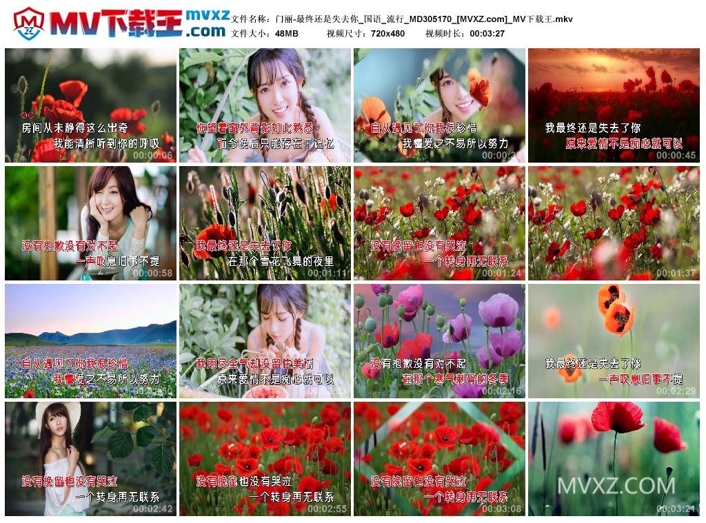 门丽-最终还是失去你_国语_流行_MD305170